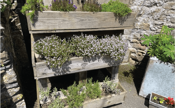 Planters in pub garden